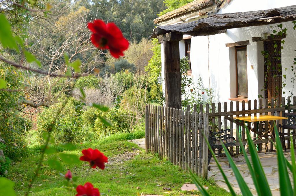Casa Rural Ahoraya El Colmenar Exteriér fotografie